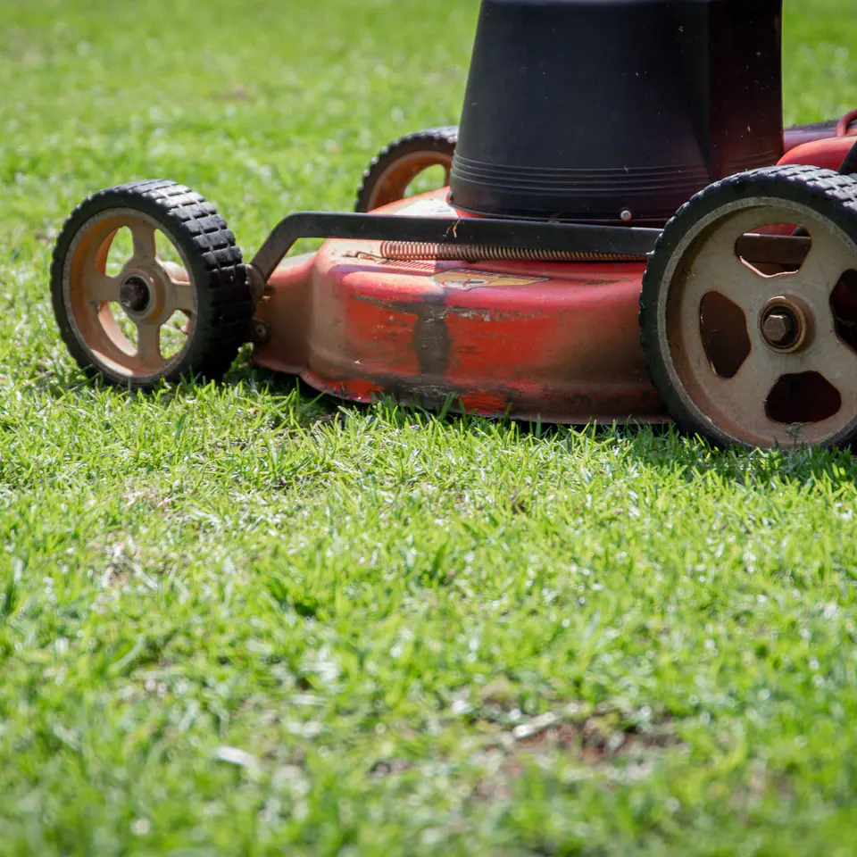 A red push lawn mower cutting bright green grass, close to the ground