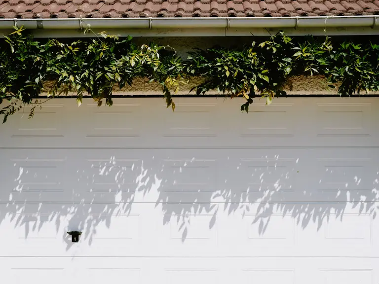 A closed white sectional garage door seen from below a roofline, vine shadows cast across its panels